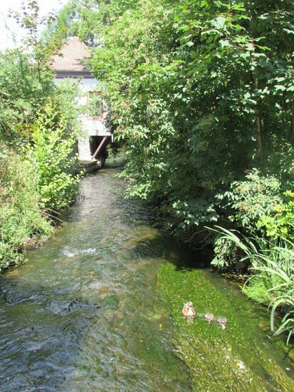 Immer wieder idyllische Blicke auf die Gera