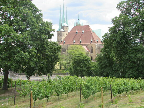 Von der Zitadelle hat man eine gute Sicht auf den Dom und die daneben liegenden Severin Kirche.