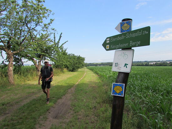Das erste Ziel ist 2,5km entfernt - Ebersbach
Am Wegesrand wachsen lecker Kirschen 