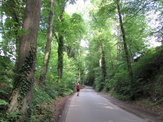 Die Temperaturen liegen heute bei 24 bis 26 Grad und mitunter sticht die Sonne ganz ordentlich. Da tut es gut zwischendurch im Schatten der Bäume zu gehen.