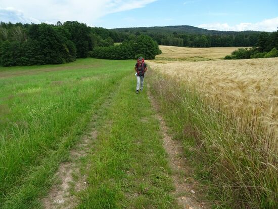 Wieder geht es bergan und die Beine werden langsam müde.