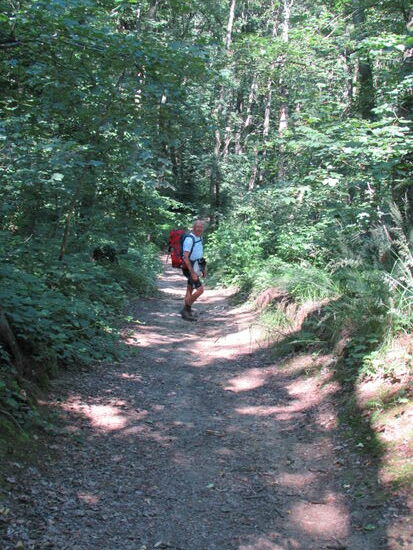 Ein kurzes Stück steil bergab und dann sind wir inmitten der schönen Natur - Genuss pur!