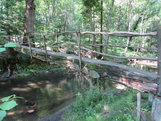 Die Kühle im Wald tut gut, denn wir haben heute zwischen 28- 30 Grad.