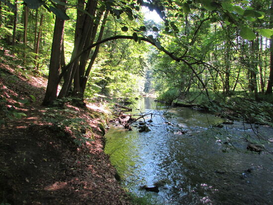 Dem Bachlauf entlang geht es weiter.