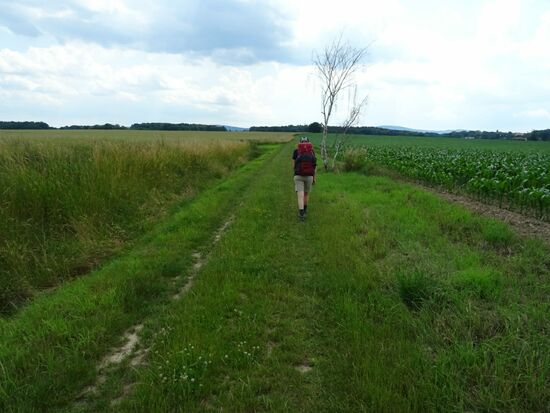 Auf Feldwegen geht es bei sengender Hitze weiter. Es ist ziemlich schwül - schön ist anders.
