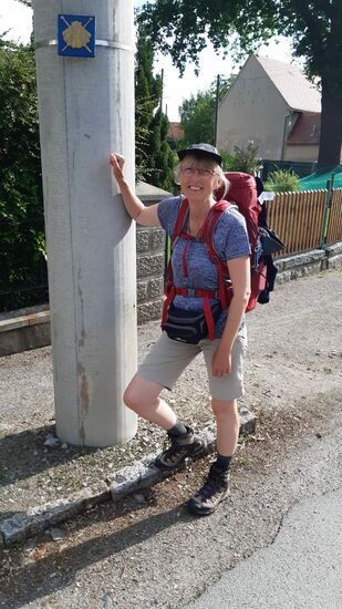 Die erste Jakobsmuschel sichten wir heute in Baschütz