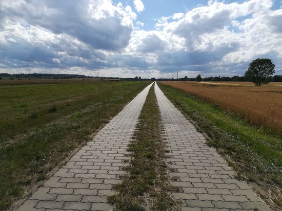 Die letzten 5km gehen wir auf der Dammkrone entlang des Baches Röderneugraben.
