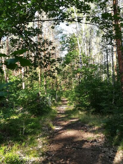 Bis zum ersten Ort unserer heutigen Etappe geht es fast 10km durch den Wald. Es ist noch früh am Morgen und wir genießen die kühle Luft und Ruhe.