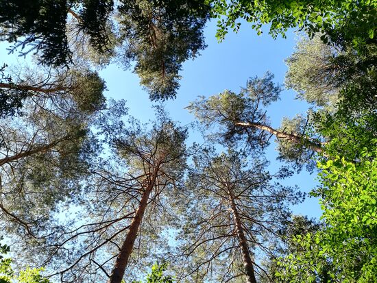 Über uns der strahlend blaue Himmel