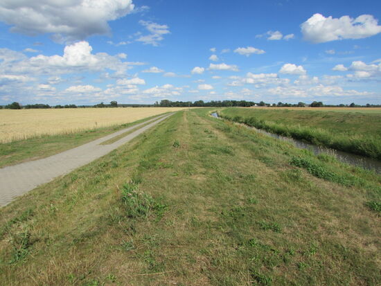 Kein Baum, kein Strauch und die Sonne ist erbarmungslos