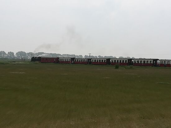 Neben dem Stellplatz dampft die Molli vorbei. Eine Schmalspurbahn, sie verbindet die Seebäder Kühlungsborn, Heiligen Damm und Bad Doberan.