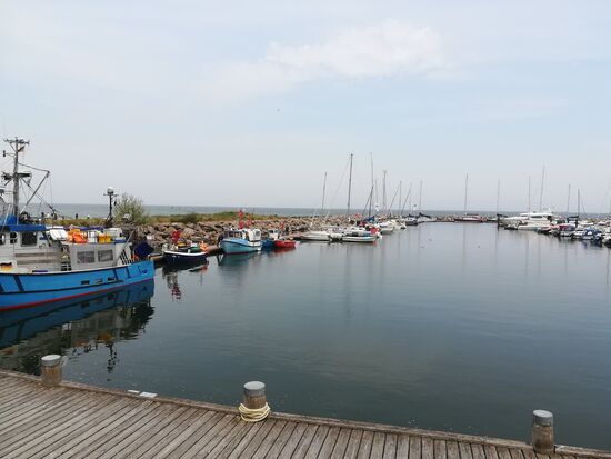 Fischerboote im Yachthafen von Kühlungsborn. Hier wird noch fangfrischer Fisch zum Kauf angeboten.