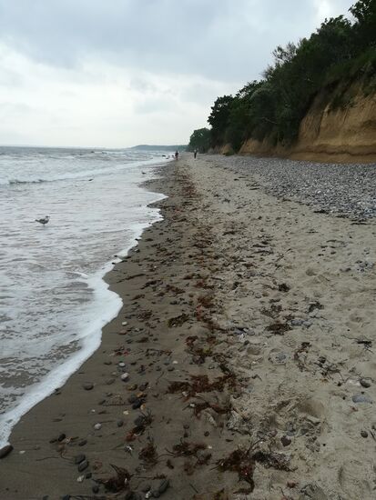 Wir genießen die frische Seeluft.