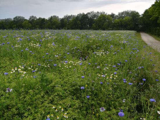 Oberhalb des Strandes gehen wir auf einem geschützten Rad und Fußweg zurück.