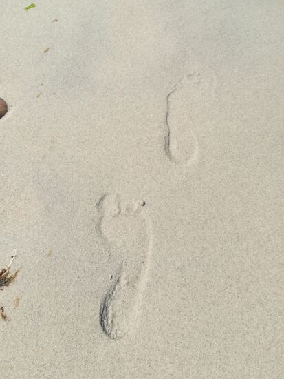 Meine Spuren im Sand
