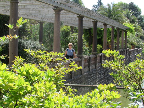 Wir schlendern weiter in den Palmengarten