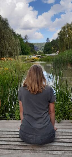 Doch vorher noch ein super schöner Blick in den Park.