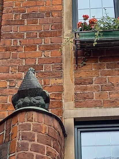 Hier der Blick auf die Henne mit ihren Kücken.