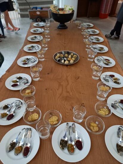 Kleine Kostproben, aber mega lecker, u.a. Grünkohlpesto. Hier endete auch unsere dreistündige Altstadt Tour.
Da es heute sehr heiß war, sind wir ziemlich geschafft. Wir gehen noch lecker essen und dann freuen wir uns auf den nächsten Tag