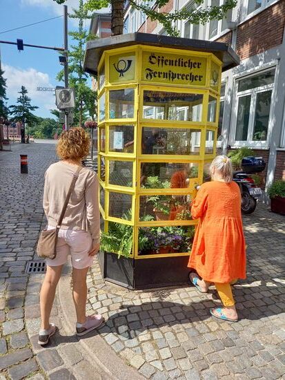 Diese Telefonzelle wurde zur Tausch Börse von Pflanzen umfunktioniert.