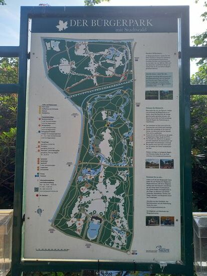 Der Bürgerpark ist eingebettet in mitten der Stadt.