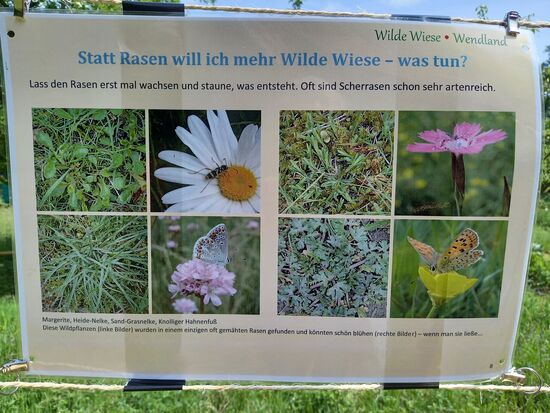 Es gibt einiges an Informationsmaterial