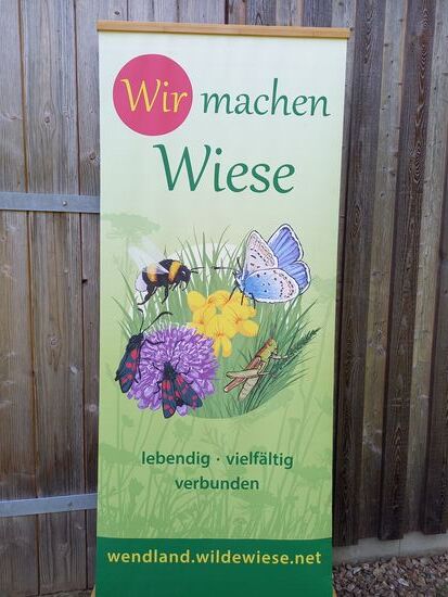 Falls jemand ebenfalls Interesse an diesem Thema hat, dort ist die Adresse.
Das Projekt hat sich zur Aufgabe gestellt, etwas für den Erhalt der Artenvielfalt zu tun. Hier im Wendland kann man sehen, das dieses Projekt Erfolge zu verzeichnen hat. In vielen Gärten konnten wir sehen, das die Eigentümer einen Teil der Rasenfläche als wilde Wiese wachsen lassen.