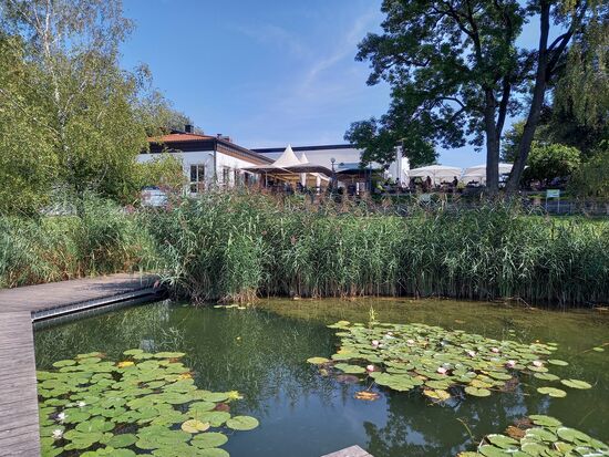 Direkt am See gibt es dieses Lokal mit leckerer Küche