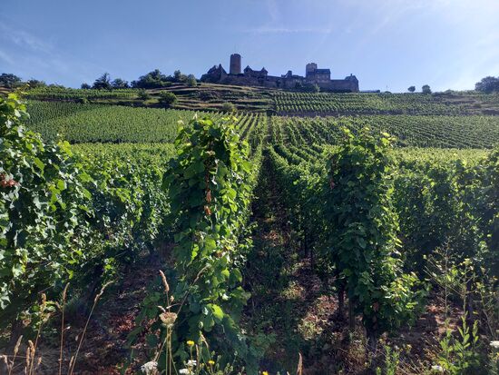 Wir machen uns auf den Weg zur Burg.