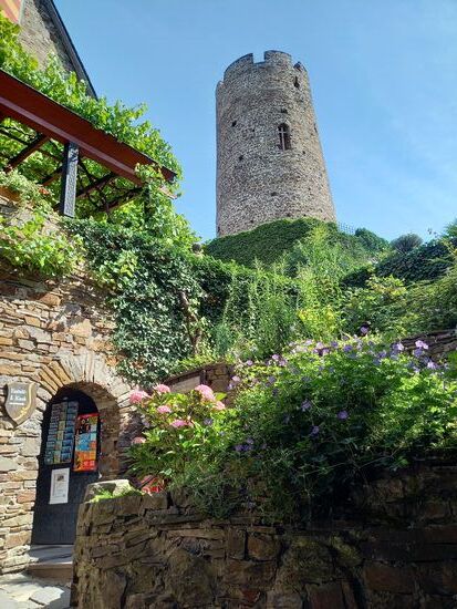 Gleich am Eingang wurden wir leider sehr unfreundlich empfangen, mit der Ansage, die Besichtigung kostet Eintritt. Die Art und Weise, wie wir "begrüßt" wurden hat uns von einer Besichtigung abgehalten. Auf unserem Tagesprogramm stand eh noch eine andere Burg 