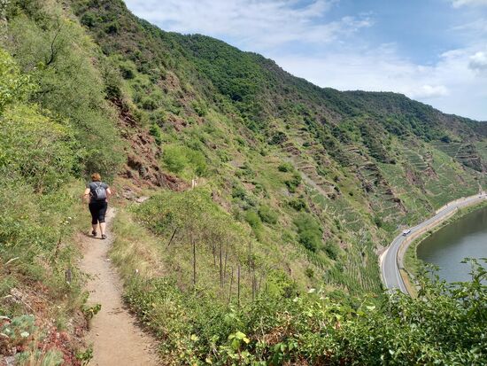 Zum Teil sind die Wege recht breit und eben, dann mal wieder steil, schmal und steinig.