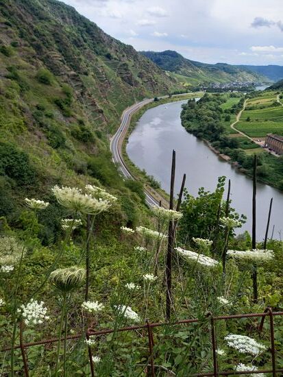 Der Blick in die Ferne ist einfach schön.