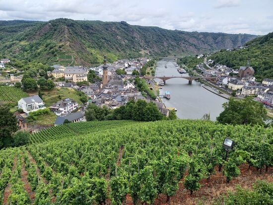 Traumhafte Sicht auf die Mosellandschaft.