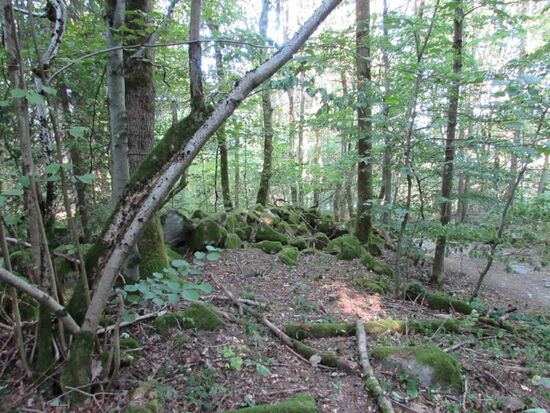 Dann entdecken wir erste Überreste der einstigen Siedlung.