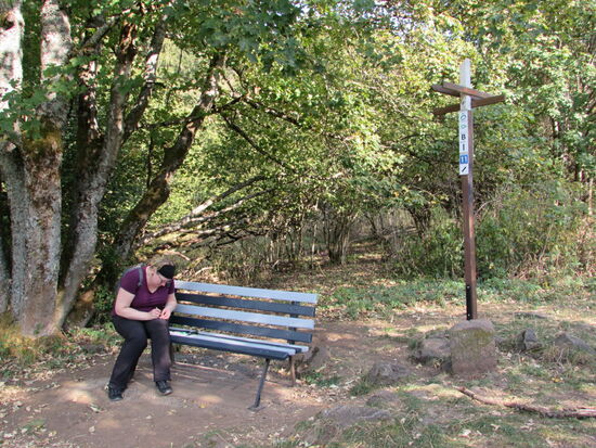 In der Nähe des Grenzstein gibt es gleich drei Geocashs, in jedem Bundesland einen. Wir haben sie alle drei gefunden 