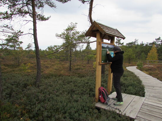 Entlang des Weges gibt es vielfältige Informationen zum Moor und ehemaligen Torfabbau, aber auch Geocaches wollen wieder gefunden werden. 
