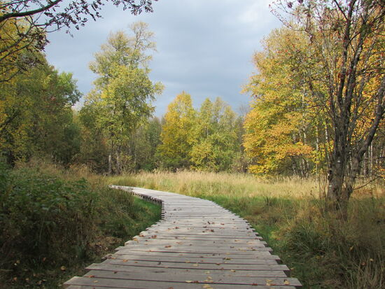 Die herbstliche Stimmung verzaubert die Landschaft.