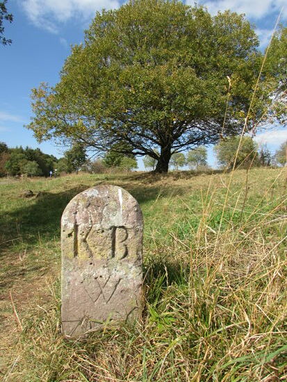Wieder ein Grenzstein - Königreich Bayern