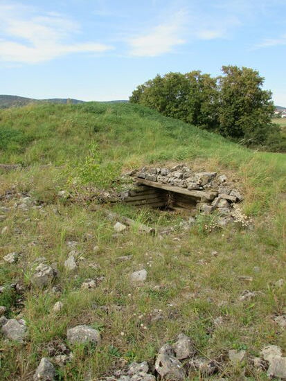 Ein kleiner Blick ins Innere