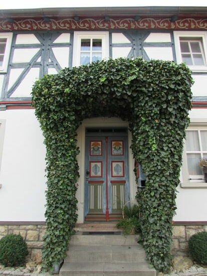 Wieder gibt es Schönes zu entdecken 