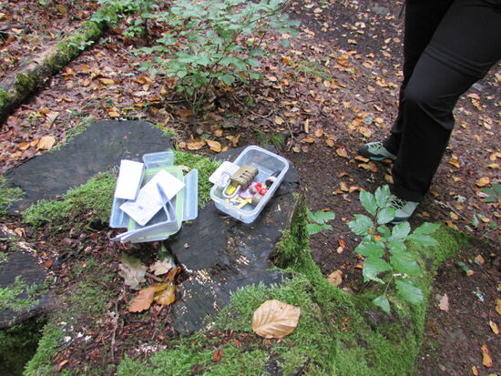 Geocaches gibt es auch auf dieser Tour 
