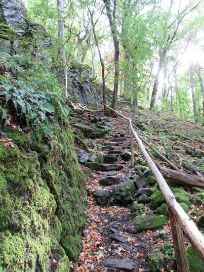 Die Wanderung durch den schönen Wald geht steinig bergauf weiter.
