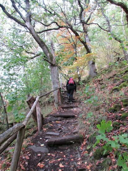 Schritt für Schritt immer höher