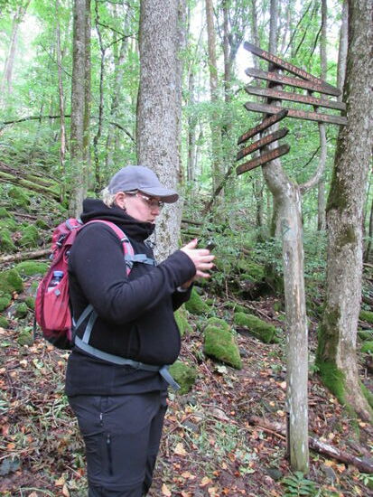 Zwischendurch mal wieder checken ob wir noch auf dem richtigen Pfad unterwegs sind. Hier gibt es viele parallel verlaufende Wege und nicht immer ist alles eindeutig ausgewiesen.