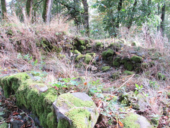 Überreste der Gangolfskapelle