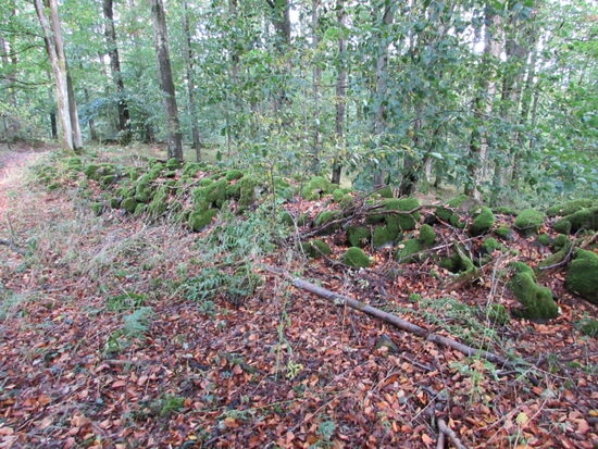 Hier ist eine Mauer der einstigen Wallanlage zu sehen.