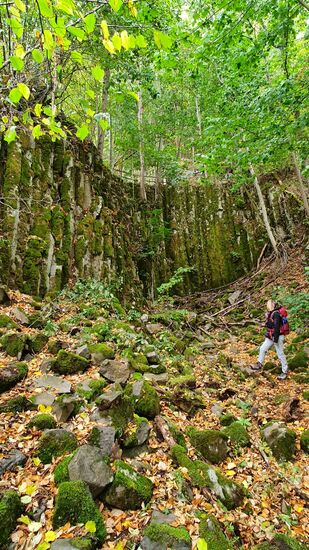 Wir stehen vor einer großen Wand mit Basaltprismen - sehr beeindruckend.