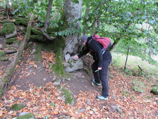 Und wieder findet Sylvia einen Geocach 