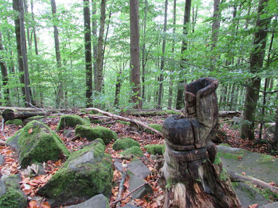 Ein Stiefel der besonderen Art  