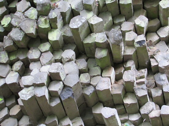 Aus der Nähe betrachtet